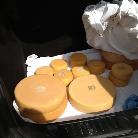 Apartment Theresli First Floor *