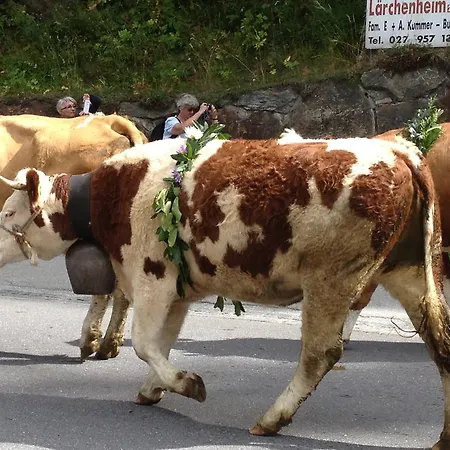 Theresli First Floor *