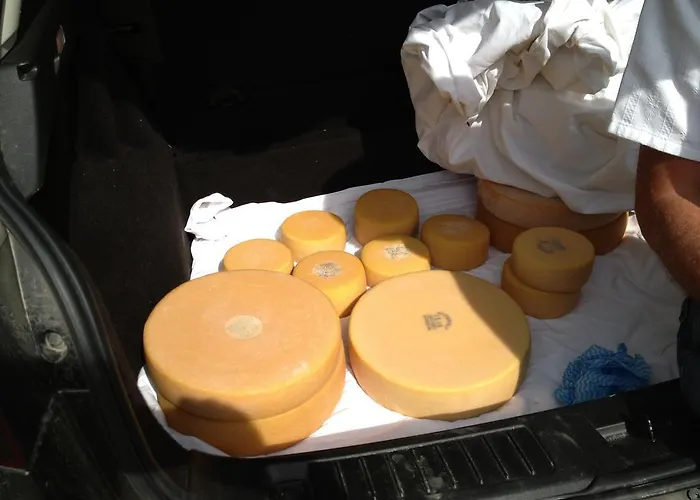 Apartman Theresli First Floor *