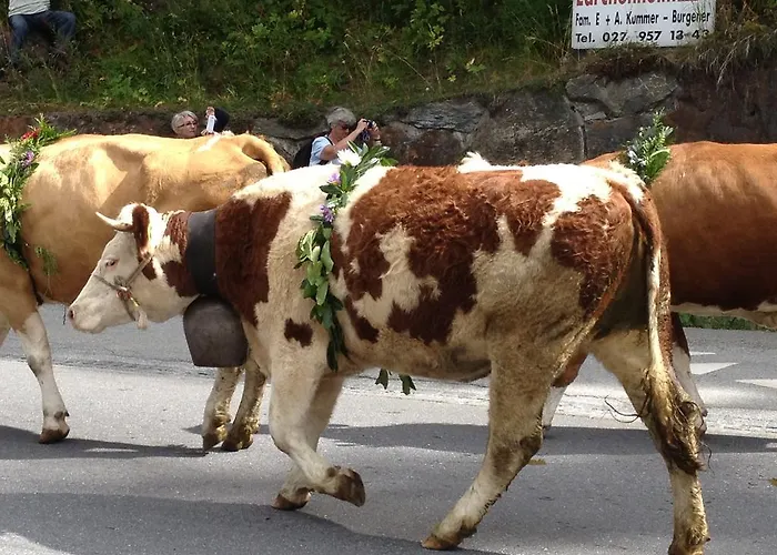 Theresli First Floor *