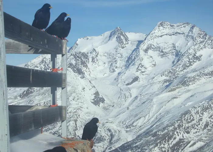 Apartman Theresli First Floor