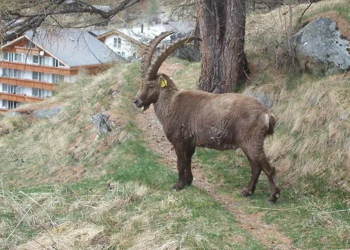 Apartman Theresli First Floor